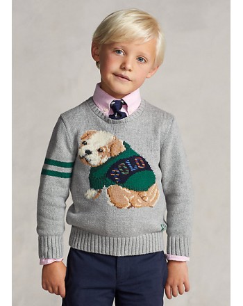 POLO RALPH LAUREN - Cotton and wool sweater with bulldog 321/322851001 - Gray