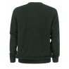 POLO RALPH LAUREN - Crewneck sweater with Slim Fit logo - Hunt Club Green