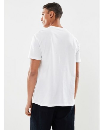 POLO RALPH LAUREN - T-Shirt in Cotone con Logo Ricamato - Bianco