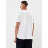 POLO RALPH LAUREN - T-Shirt in Cotone con Logo Ricamato - Bianco