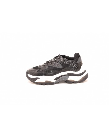 ASH - ADDICT Sneakers in crocodile printede leather - Black