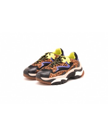 ASH - Sneakers ADDICT in pelle stampa LEOPARDO - Nero/Leopardo