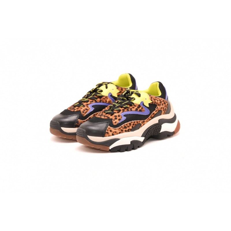 ASH - Sneakers ADDICT in pelle stampa LEOPARDO - Nero/Leopardo