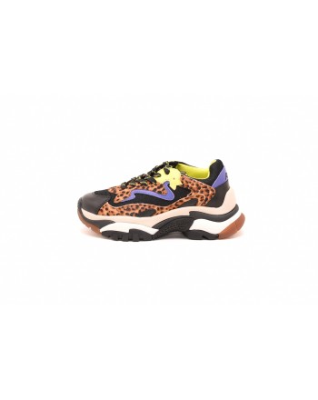 ASH - ADDICT Sneakers in Leopard printed leather - Black/Leopard